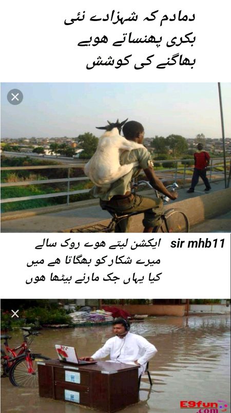 Damadam Roasting image