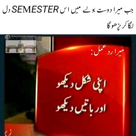 Memes & Satire image