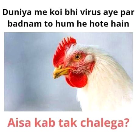 Memes & Satire image