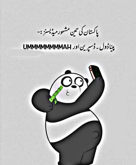 Memes & Satire image