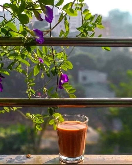 Beautiful Nature image