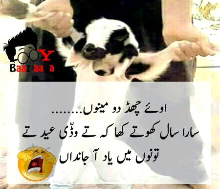 Jokes image