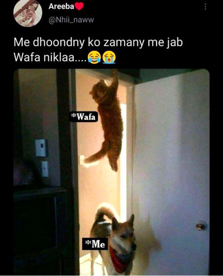 Memes & Satire image
