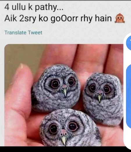 Memes & Satire image