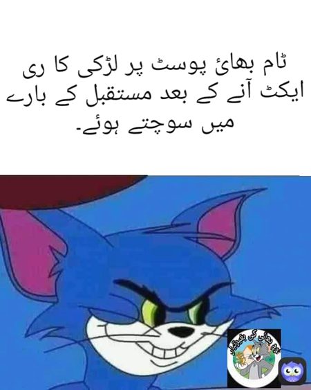 Memes & Satire image