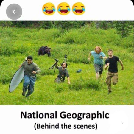 Memes & Satire image