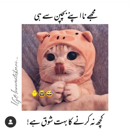 Memes & Satire image