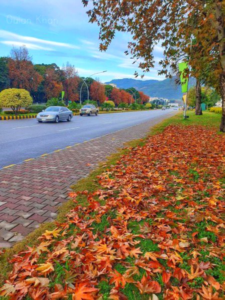 Beautiful Nature image