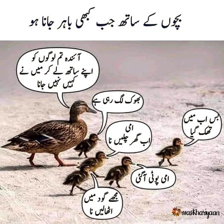 Memes & Satire image