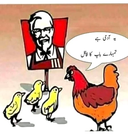 Memes & Satire image