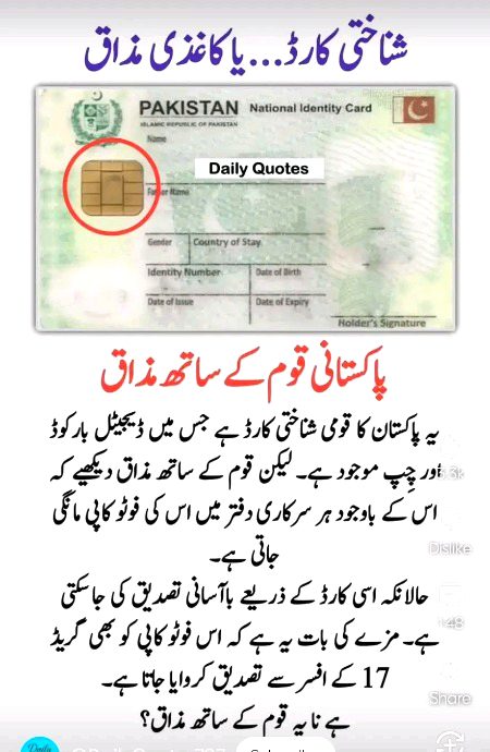 Memes & Satire image