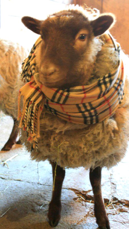 Beautiful Nature image