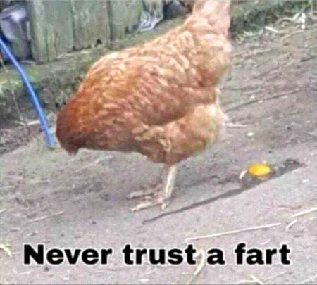 Funny joke