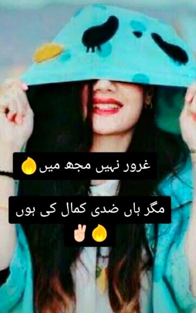 Attitude Quotes image