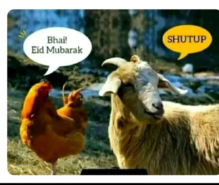 Memes & Satire image