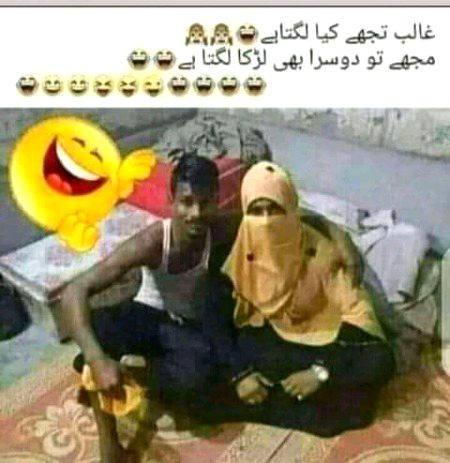 Memes & Satire image