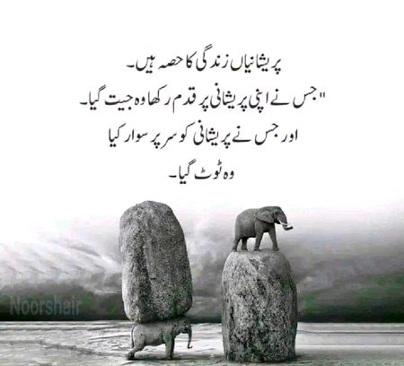 Motivational Quotes image