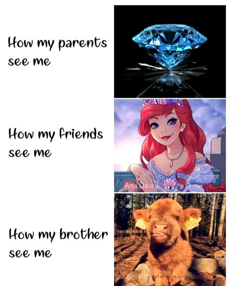 Memes & Satire image