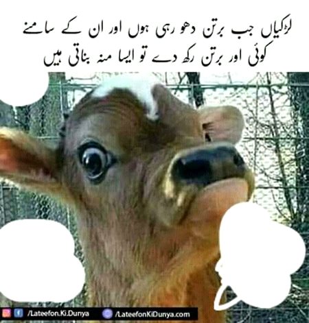 Memes & Satire image