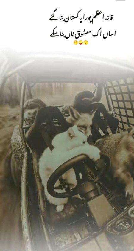 Memes & Satire image