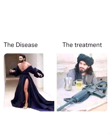 Memes & Satire image