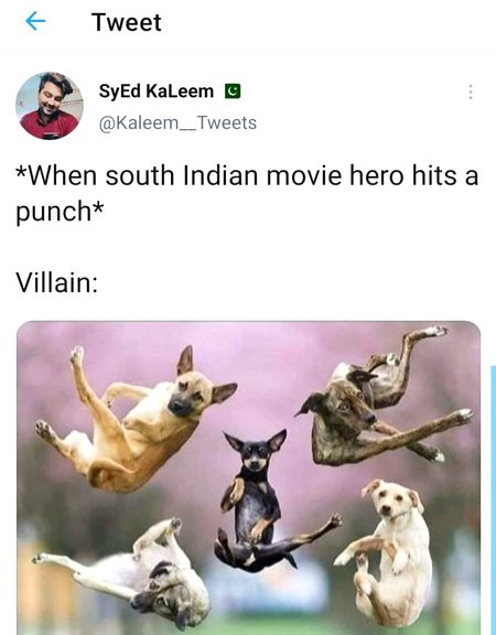 Memes & Satire image