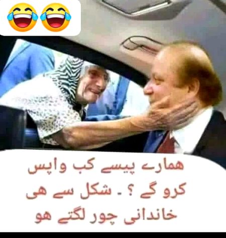 Memes & Satire image