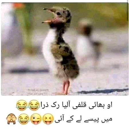 Funny joke