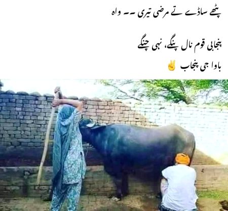 Funny joke