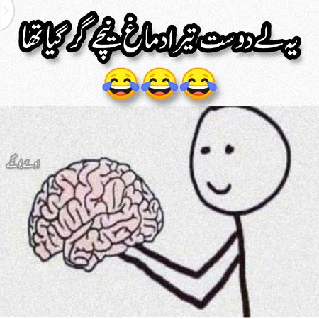 Memes & Satire image