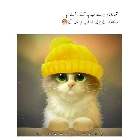 Memes & Satire image