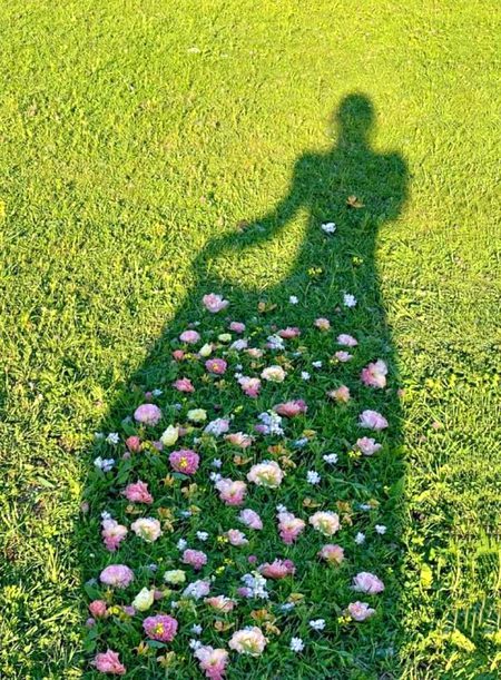 Beautiful Nature image