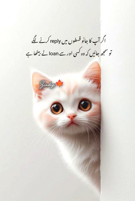 Memes & Satire image