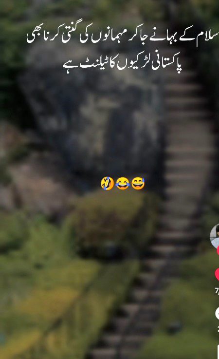 Memes & Satire image