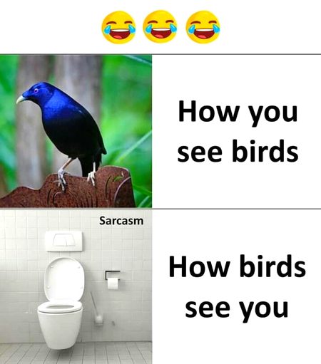 Funny joke
