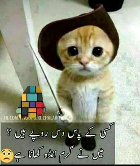 Jokes image