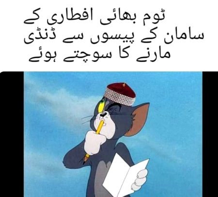 Memes & Satire image