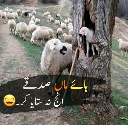 Funny joke