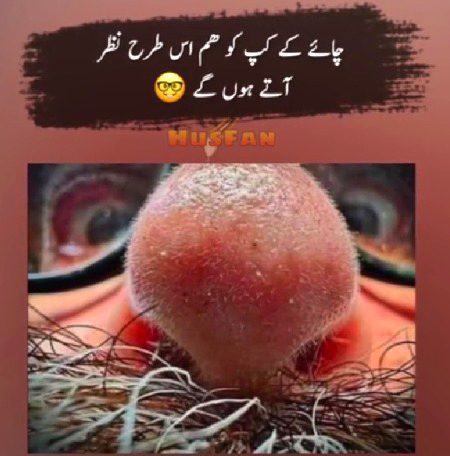 Jokes image