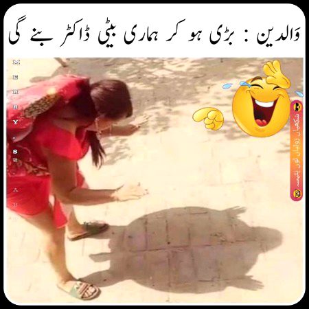 Memes & Satire image