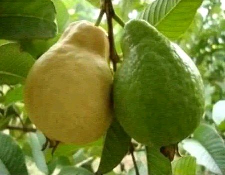 Beautiful Nature image