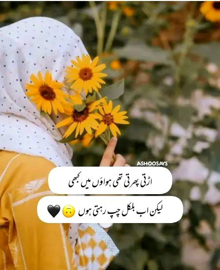 Sad Poetry image