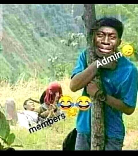 Memes & Satire image