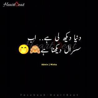 Memes & Satire image