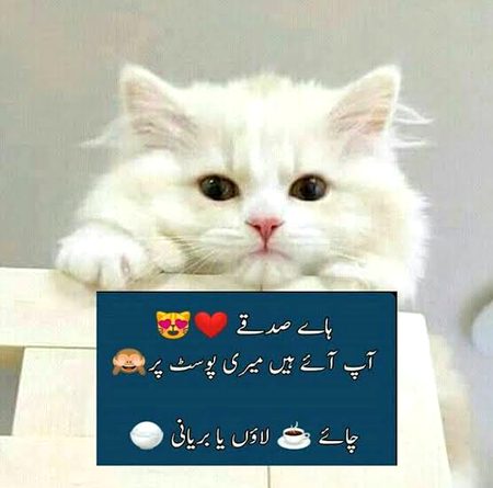 Funny joke