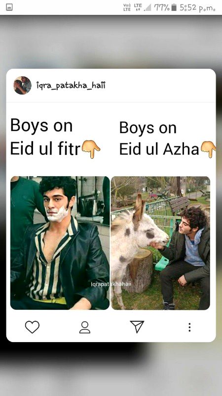 Memes & Satire image