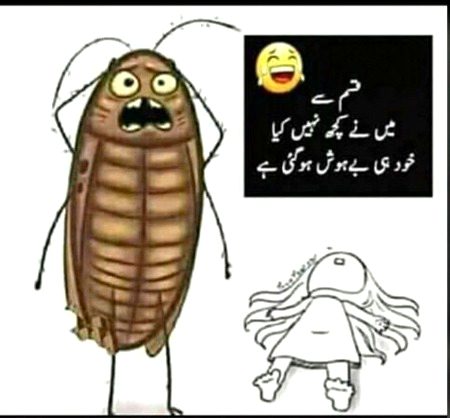 Memes & Satire image