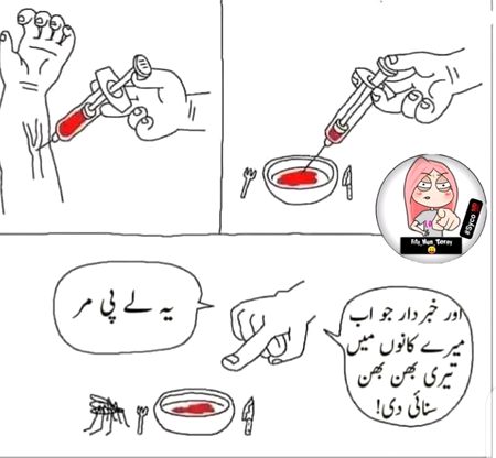 Memes & Satire image