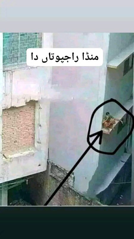 Memes & Satire image