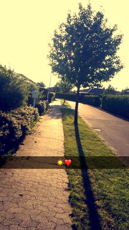 Beautiful Nature image